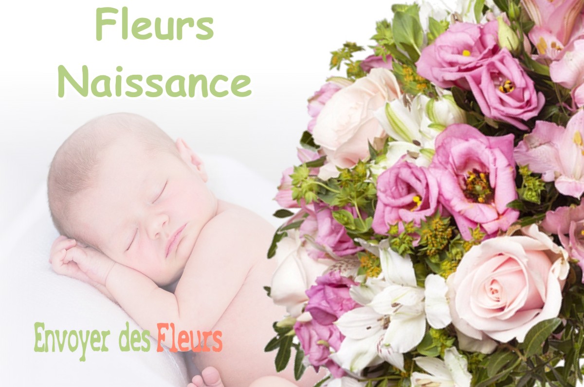 lIVRAISON FLEURS NAISSANCE à THONNELLE